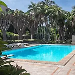 San Diego - Palmeras