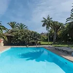 San Diego - Palmeras