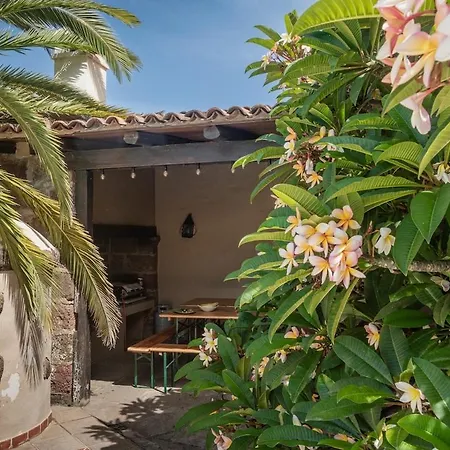 San Diego - Palmeras Lägenhet La Matanza De Acentejo