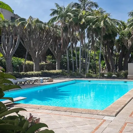 San Diego - Palmeras