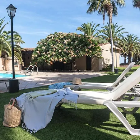 San Diego - Palmeras *