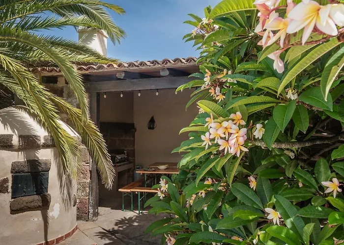 San Diego - Palmeras Apartman La Matanza de Acentejo