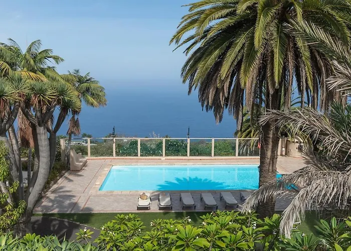 San Diego - Palmeras *