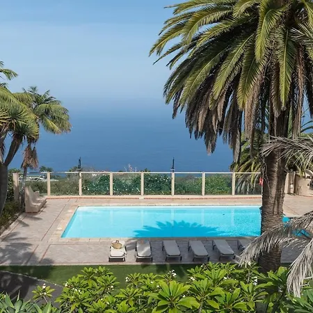 San Diego - Palmeras *