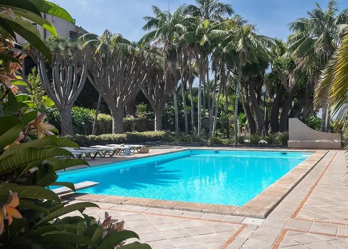 San Diego - Palmeras