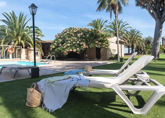 San Diego - Palmeras *