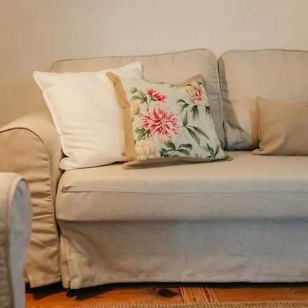 San Diego - Palmeras La Matanza De Acentejo