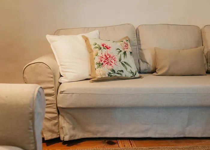 San Diego - Palmeras La Matanza De Acentejo